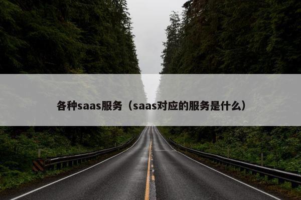 各种saas服务（saas对应的服务是什么）