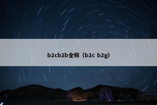 b2cb2b全称（b2c b2g）
