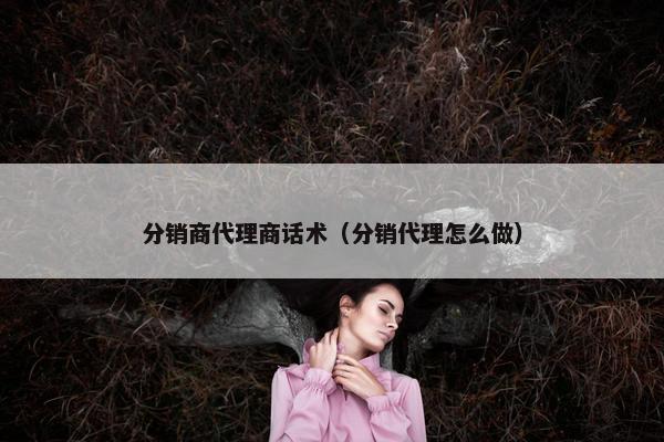 分销商代理商话术（分销代理怎么做）