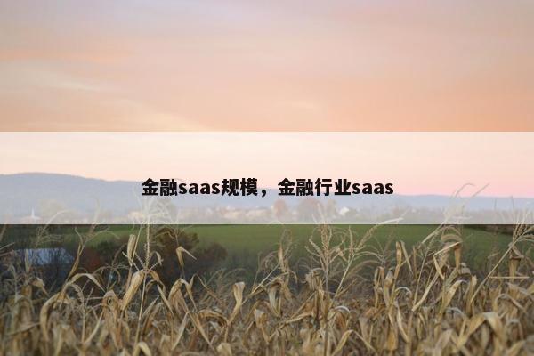 金融saas规模，金融行业saas