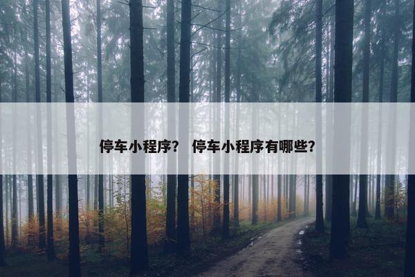 停车小程序？ 停车小程序有哪些？