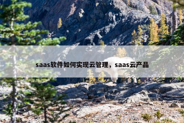 saas软件如何实现云管理，saas云产品