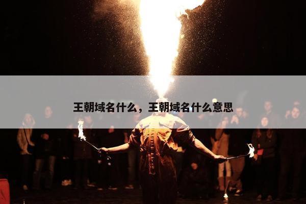 王朝域名什么，王朝域名什么意思