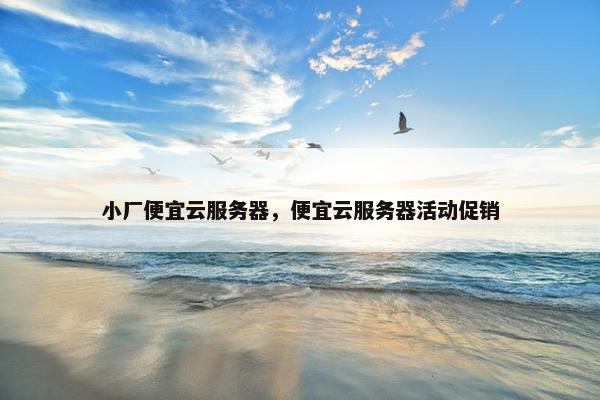 小厂便宜云服务器，便宜云服务器活动促销