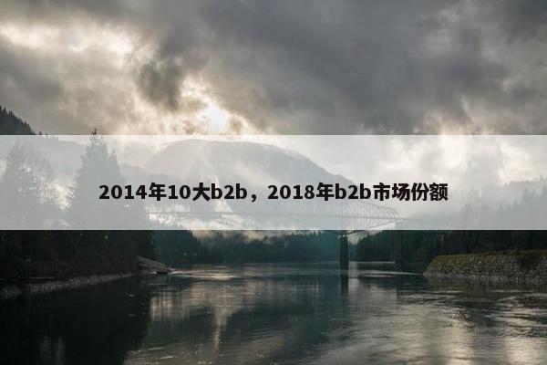 2014年10大b2b，2018年b2b市场份额