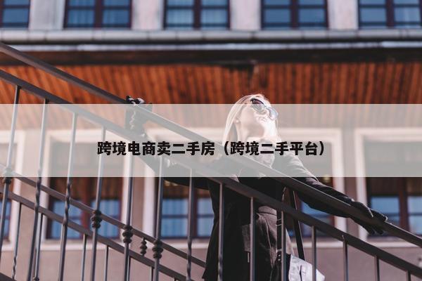 跨境电商卖二手房（跨境二手平台）