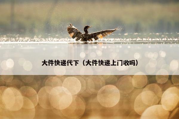 大件快递代下（大件快递上门收吗）