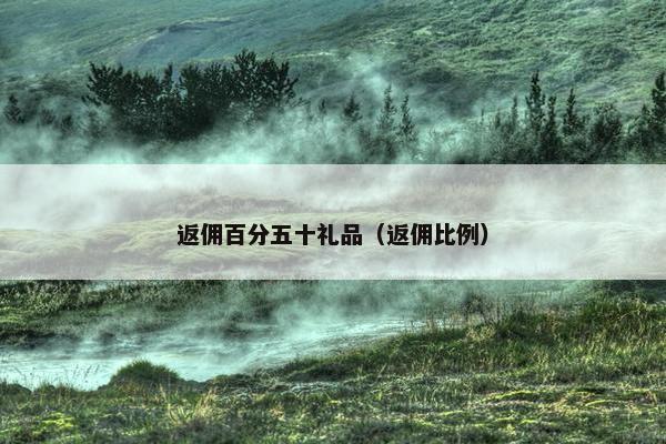 返佣百分五十礼品（返佣比例）