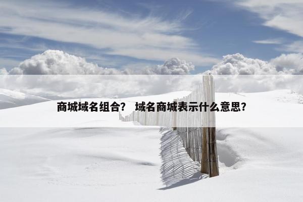 商城域名组合？ 域名商城表示什么意思？