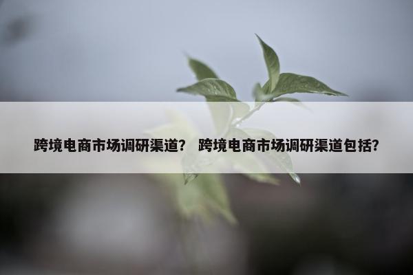 跨境电商市场调研渠道？ 跨境电商市场调研渠道包括？