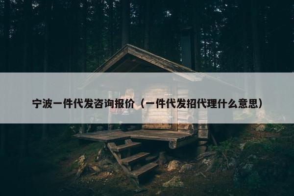 宁波一件代发咨询报价（一件代发招代理什么意思）