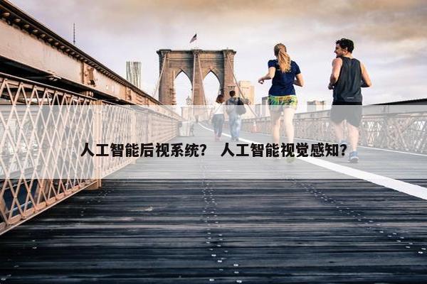 人工智能后视系统？ 人工智能视觉感知？