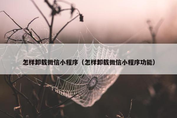 怎样卸载微信小程序（怎样卸载微信小程序功能）