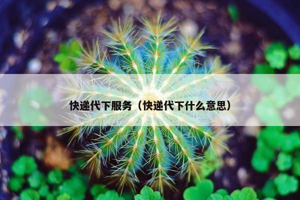 快递代下服务（快递代下什么意思）