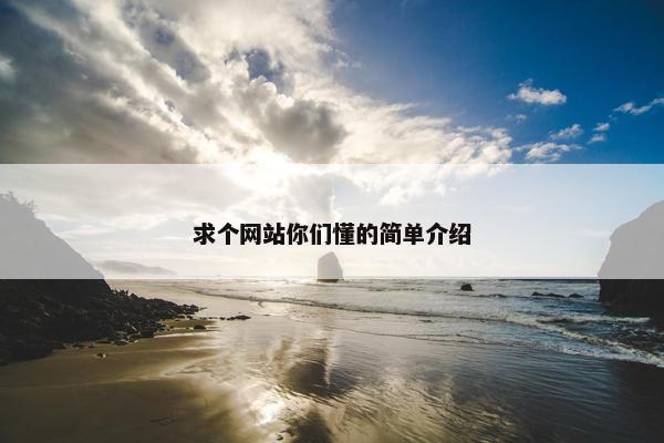 求个网站你们懂的简单介绍