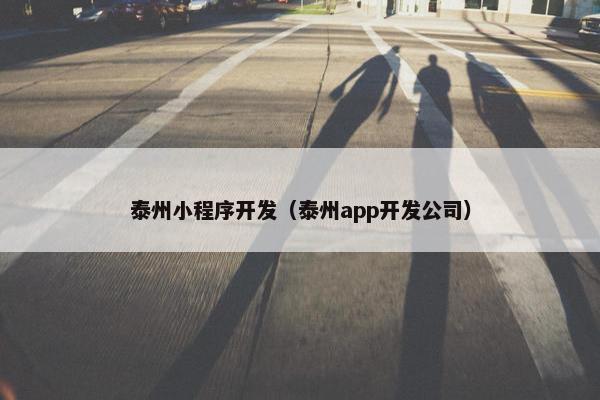 泰州小程序开发（泰州app开发公司）
