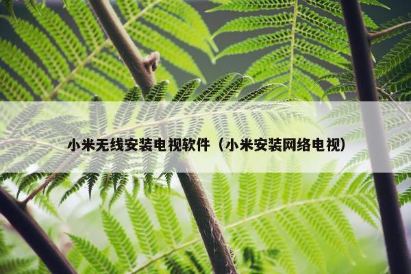 小米无线安装电视软件（小米安装网络电视）