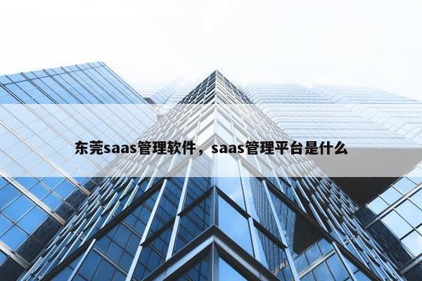 东莞saas管理软件，saas管理平台是什么