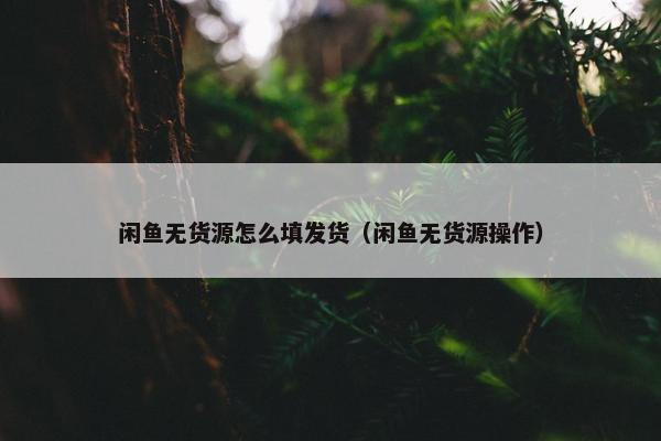 闲鱼无货源怎么填发货（闲鱼无货源操作）
