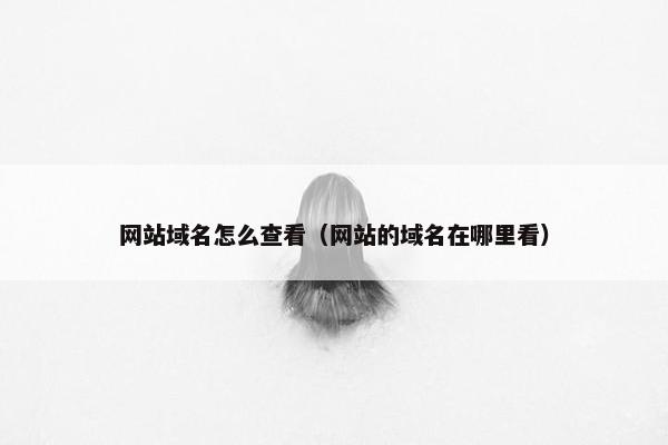 网站域名怎么查看（网站的域名在哪里看）