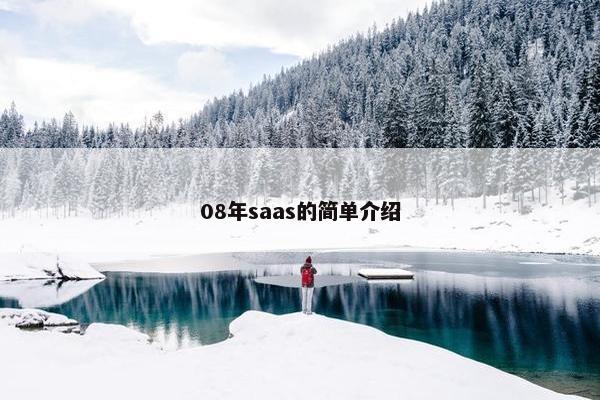 08年saas的简单介绍