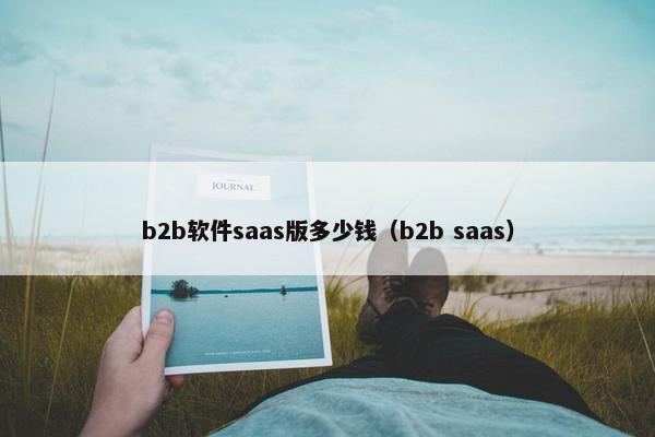 b2b软件saas版多少钱（b2b saas）