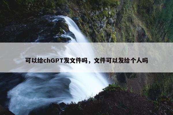 可以给chGPT发文件吗，文件可以发给个人吗