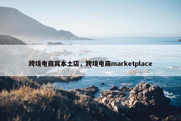 跨境电商宾本土店，跨境电商marketplace
