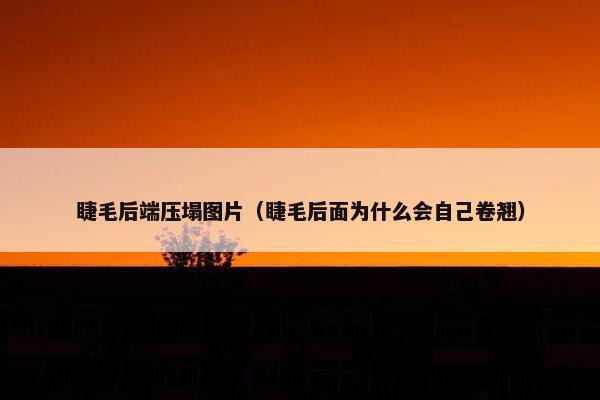 睫毛后端压塌图片（睫毛后面为什么会自己卷翘）