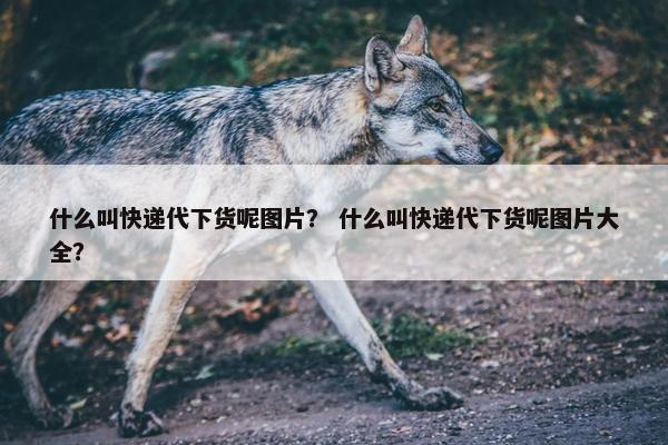 什么叫快递代下货呢图片？ 什么叫快递代下货呢图片大全？