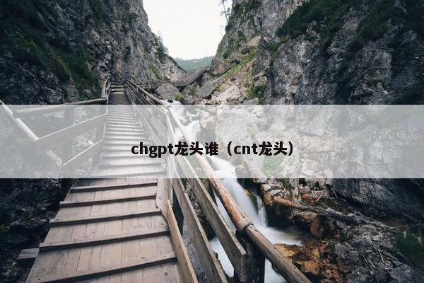 chgpt龙头谁（cnt龙头）