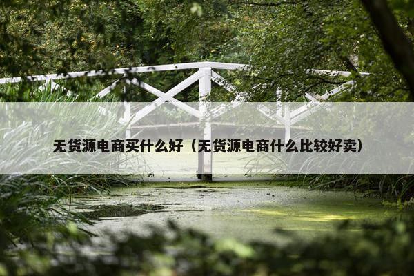 无货源电商买什么好（无货源电商什么比较好卖）