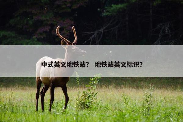 中式英文地铁站？ 地铁站英文标识？