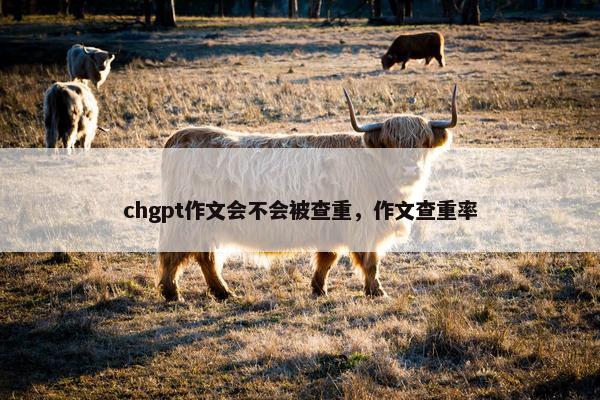 chgpt作文会不会被查重，作文查重率