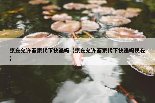 京东允许商家代下快递吗（京东允许商家代下快递吗现在）