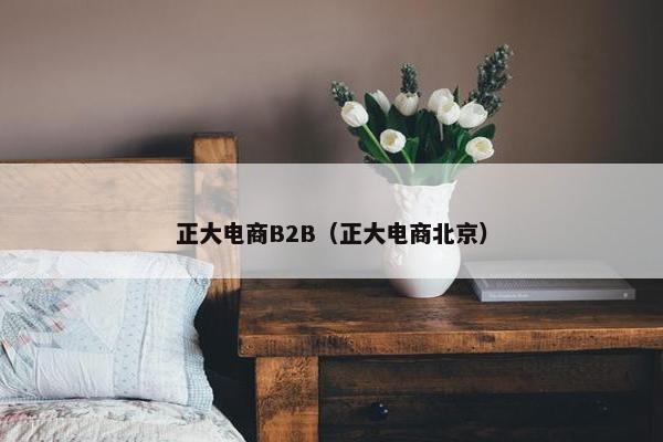 正大电商B2B（正大电商北京）