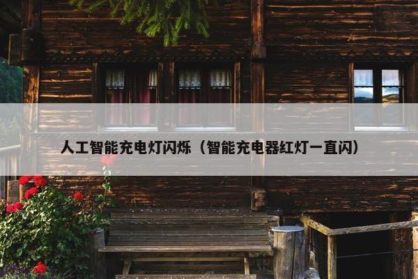 人工智能充电灯闪烁（智能充电器红灯一直闪）