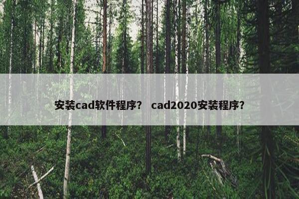 安装cad软件程序？ cad2020安装程序？
