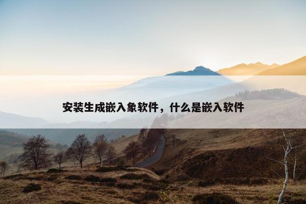 安装生成嵌入象软件，什么是嵌入软件