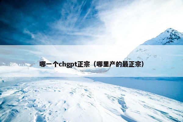 哪一个chgpt正宗（哪里产的最正宗）