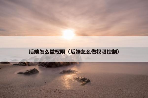 后端怎么做权限（后端怎么做权限控制）