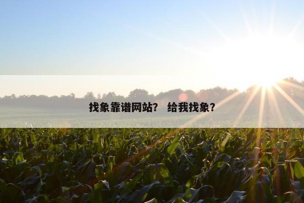 找象靠谱网站？ 给我找象？
