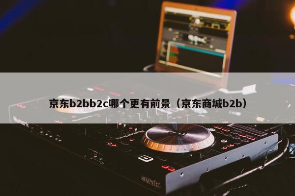 京东b2bb2c哪个更有前景（京东商城b2b）