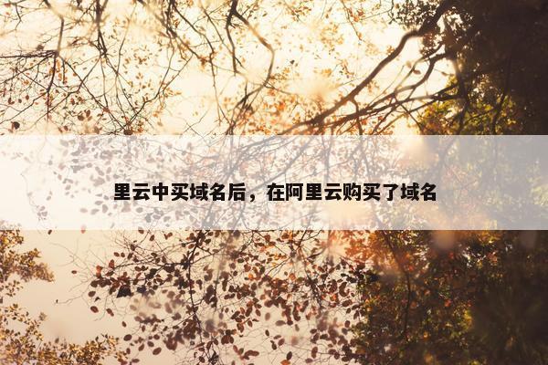里云中买域名后，在阿里云购买了域名