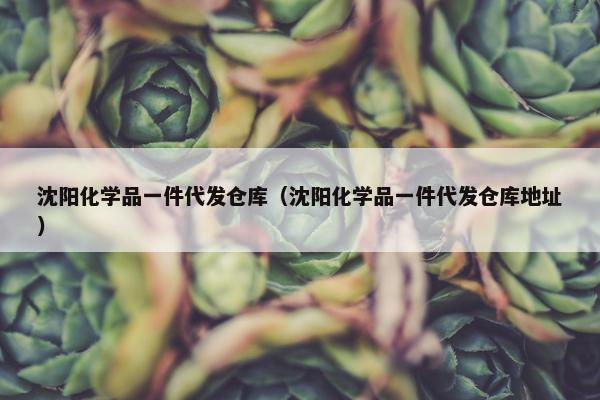 沈阳化学品一件代发仓库（沈阳化学品一件代发仓库地址）