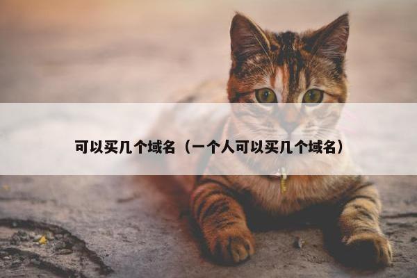 可以买几个域名（一个人可以买几个域名）