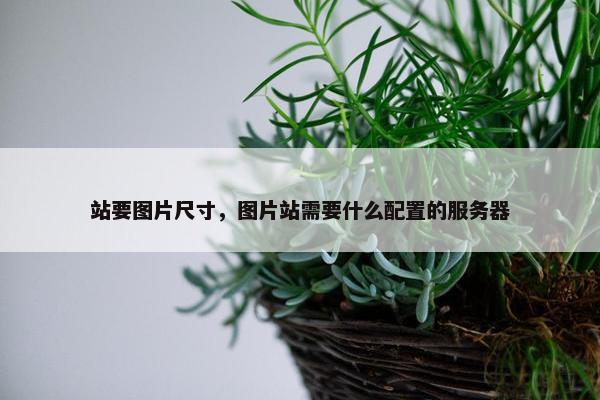 站要图片尺寸，图片站需要什么配置的服务器