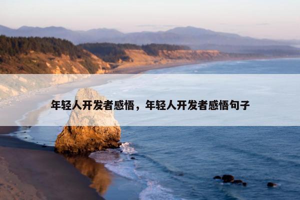 年轻人开发者感悟，年轻人开发者感悟句子