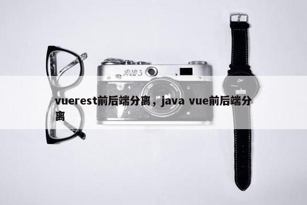 vuerest前后端分离，java vue前后端分离