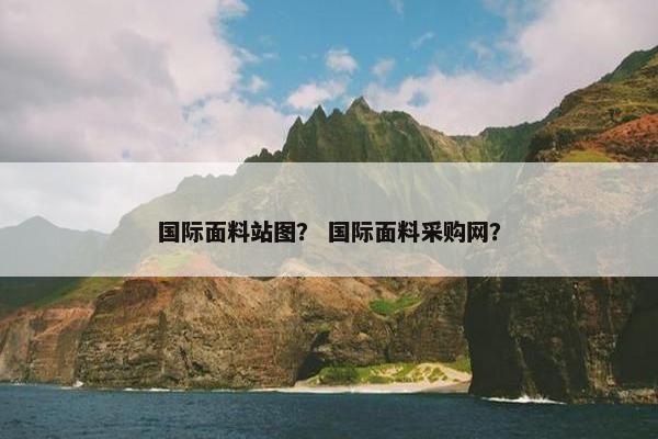 国际面料站图？ 国际面料采购网？